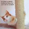 Pet Adobe Interactive Cat Scratching Pole, Built-In Rolling Ball and Track Toy for Adult Cats and Kitten 700925PXL - alternate 4